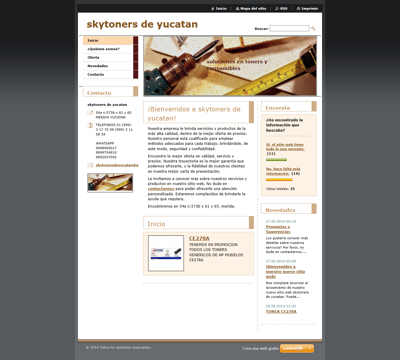 Captura del sitio web anterior de SKYOTONERS